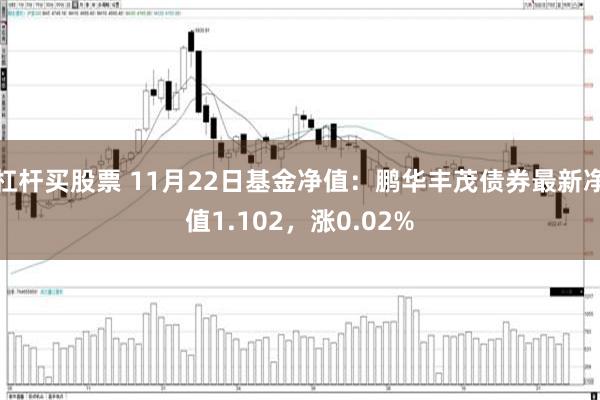 杠杆买股票 11月22日基金净值：鹏华丰茂债券最新净值1.102，涨0.02%