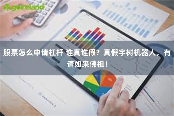 股票怎么申请杠杆 谁真谁假？真假宇树机器人，有请如来佛祖！