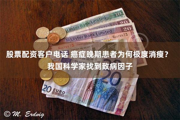 股票配资客户电话 癌症晚期患者为何极度消瘦？ 我国科学家找到致病因子