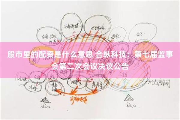 股市里的配资是什么意思 合纵科技：第七届监事会第二次会议决议公告