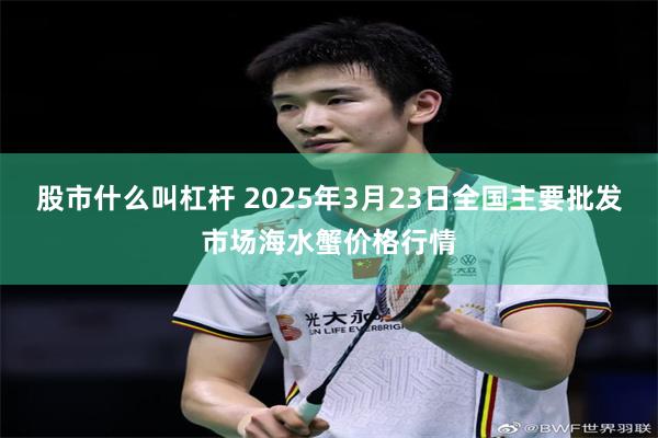 股市什么叫杠杆 2025年3月23日全国主要批发市场海水蟹价格行情