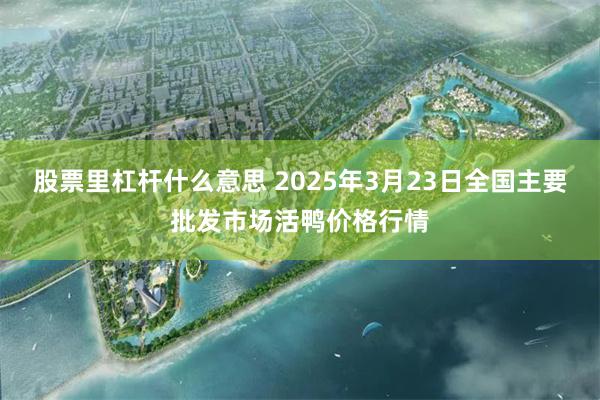 股票里杠杆什么意思 2025年3月23日全国主要批发市场活鸭价格行情
