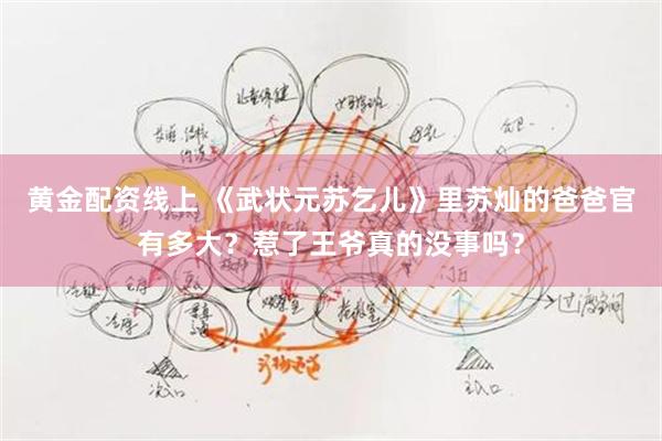 黄金配资线上 《武状元苏乞儿》里苏灿的爸爸官有多大？惹了王爷真的没事吗？