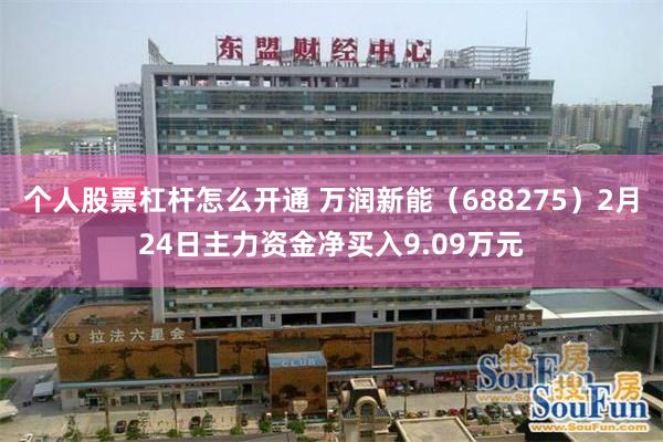 个人股票杠杆怎么开通 万润新能（688275）2月24日主力资金净买入9.09万元