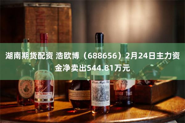 湖南期货配资 浩欧博（688656）2月24日主力资金净卖出544.81万元