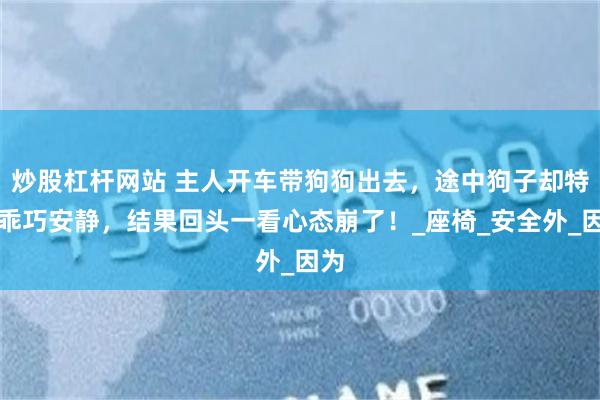 炒股杠杆网站 主人开车带狗狗出去，途中狗子却特别乖巧安静，结果回头一看心态崩了！_座椅_安全外_因为
