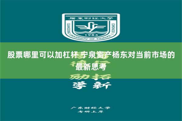 股票哪里可以加杠杆 宁泉资产杨东对当前市场的最新思考