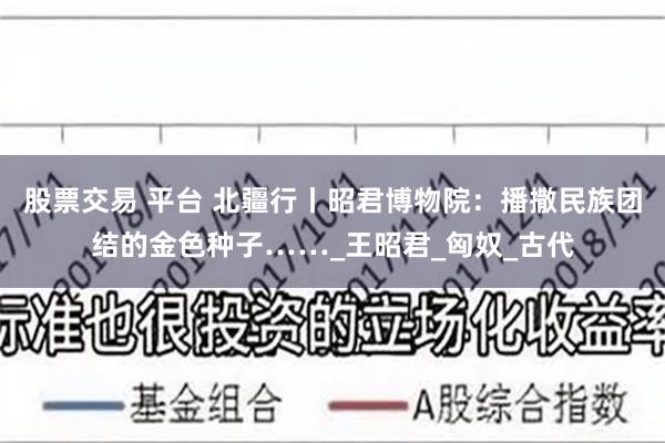 股票交易 平台 北疆行丨昭君博物院：播撒民族团结的金色种子……_王昭君_匈奴_古代