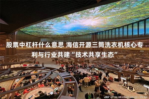 股票中杠杆什么意思 海信开源三筒洗衣机核心专利与行业共建“技术共享生态”