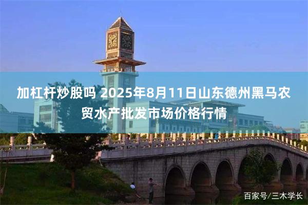 加杠杆炒股吗 2025年8月11日山东德州黑马农贸水产批发市场价格行情