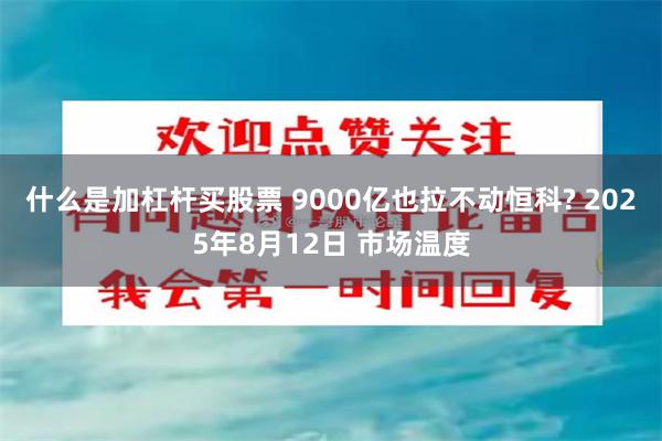 什么是加杠杆买股票 9000亿也拉不动恒科? 2025年8月12日 市场温度