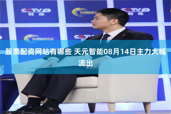 股票配资网站有哪些 天元智能08月14日主力大幅流出