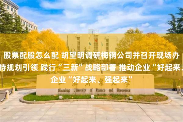 股票配股怎么配 胡望明调研梅钢公司并召开现场办公会：坚持规划引领 践行“三新”战略部署 推动企业“好起来、强起来”