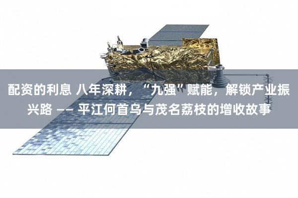配资的利息 八年深耕，“九强”赋能，解锁产业振兴路 —— 平江何首乌与茂名荔枝的增收故事