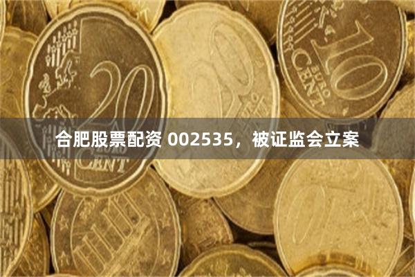 合肥股票配资 002535，被证监会立案