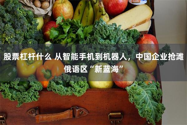 股票杠杆什么 从智能手机到机器人，中国企业抢滩俄语区“新蓝海”