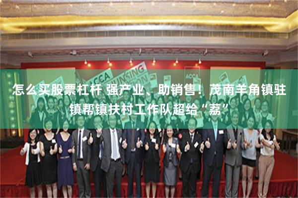 怎么买股票杠杆 强产业、助销售！茂南羊角镇驻镇帮镇扶村工作队超给“荔”