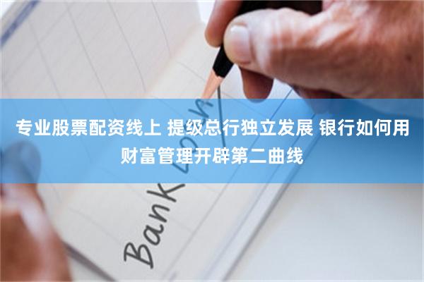 专业股票配资线上 提级总行独立发展 银行如何用财富管理开辟第二曲线