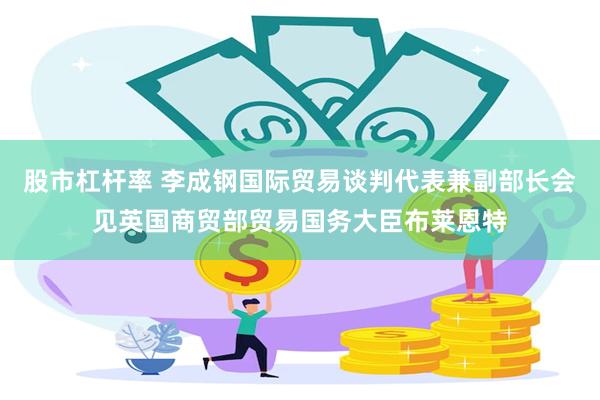 股市杠杆率 李成钢国际贸易谈判代表兼副部长会见英国商贸部贸易国务大臣布莱恩特