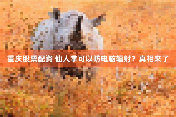 重庆股票配资 仙人掌可以防电脑辐射？真相来了