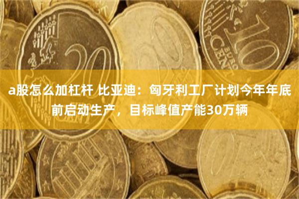 a股怎么加杠杆 比亚迪：匈牙利工厂计划今年年底前启动生产，目标峰值产能30万辆