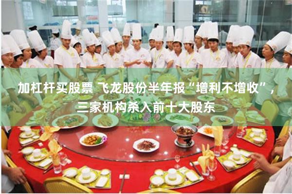 加杠杆买股票 飞龙股份半年报“增利不增收”，三家机构杀入前十大股东