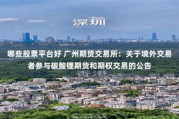 哪些股票平台好 广州期货交易所：关于境外交易者参与碳酸锂期货和期权交易的公告