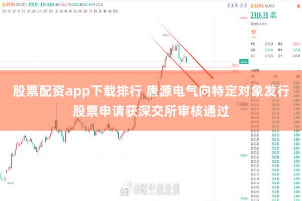 股票配资app下载排行 唐源电气向特定对象发行股票申请获深交所审核通过