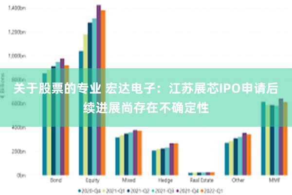 关于股票的专业 宏达电子：江苏展芯IPO申请后续进展尚存在不确定性