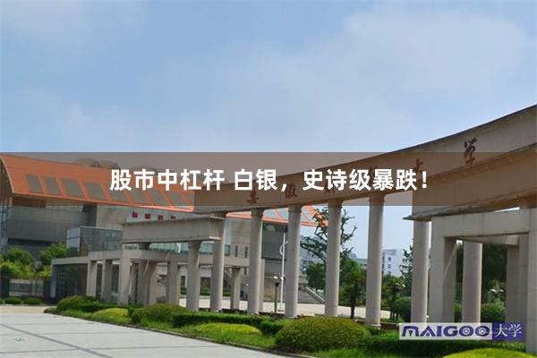股市中杠杆 白银，史诗级暴跌！