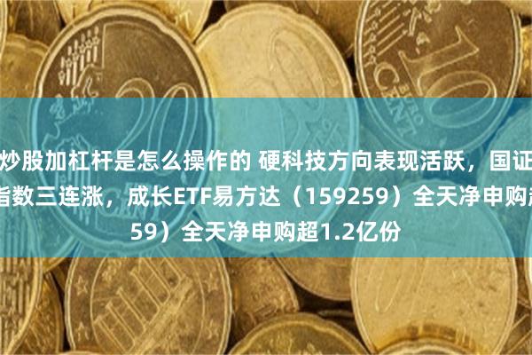 炒股加杠杆是怎么操作的 硬科技方向表现活跃，国证成长100指数三连涨，成长ETF易方达（159259）全天净申购超1.2亿份