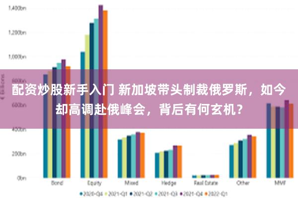 配资炒股新手入门 新加坡带头制裁俄罗斯,如今却高调赴俄峰会,背后有何玄机?
