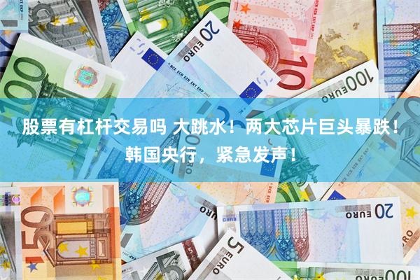 股票有杠杆交易吗 大跳水！两大芯片巨头暴跌！韩国央行，紧急发声！