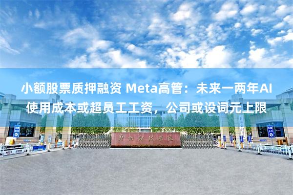 小额股票质押融资 Meta高管：未来一两年AI使用成本或超员工工资，公司或设词元上限