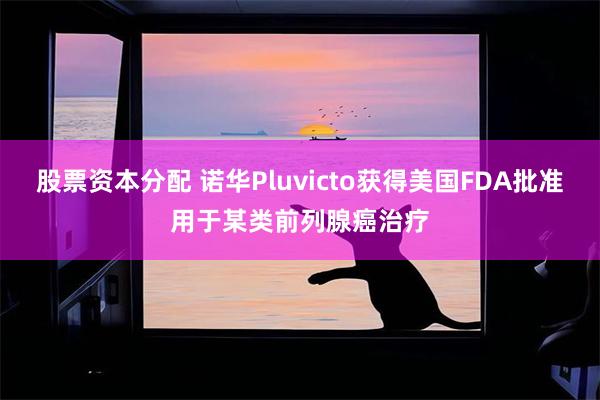 股票资本分配 诺华Pluvicto获得美国FDA批准用于某类前列腺癌治疗