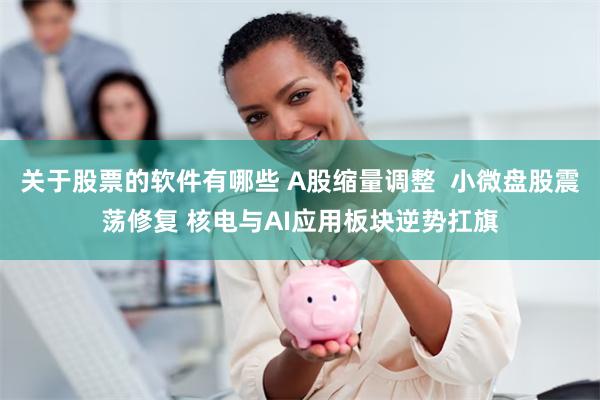 关于股票的软件有哪些 A股缩量调整  小微盘股震荡修复 核电与AI应用板块逆势扛旗