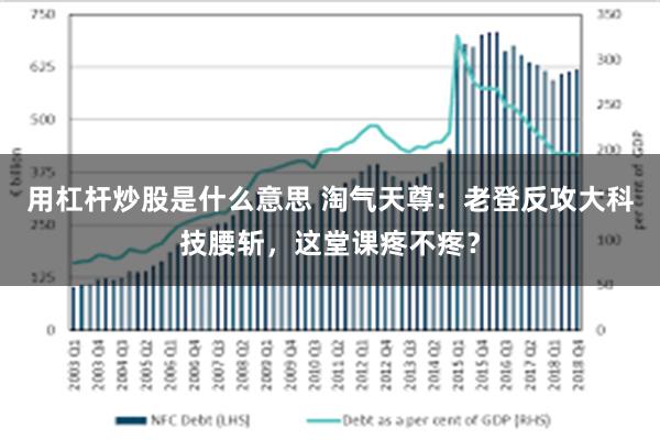 用杠杆炒股是什么意思 淘气天尊：老登反攻大科技腰斩，这堂课疼不疼？