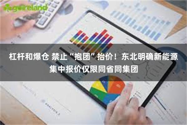 杠杆和爆仓 禁止“抱团”抬价！东北明确新能源集中报价仅限同省同集团