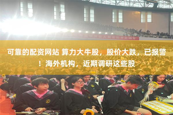 可靠的配资网站 算力大牛股，股价大跌，已报警！海外机构，近期调研这些股