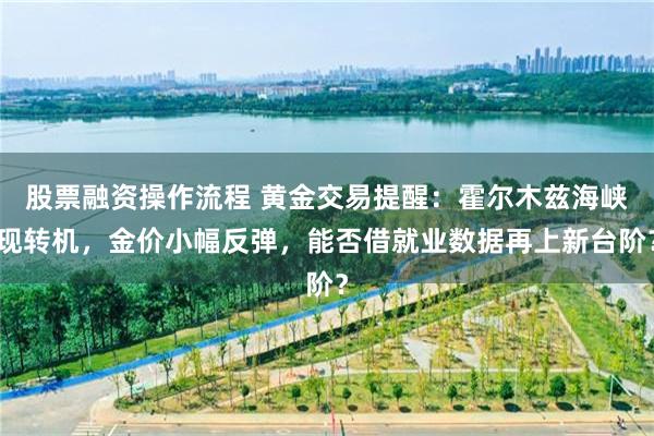 股票融资操作流程 黄金交易提醒：霍尔木兹海峡现转机，金价小幅反弹，能否借就业数据再上新台阶？