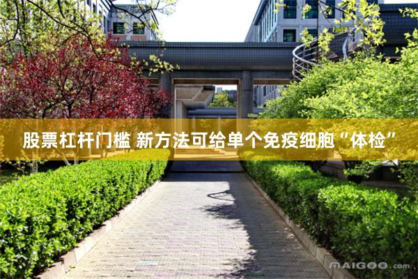 股票杠杆门槛 新方法可给单个免疫细胞“体检”