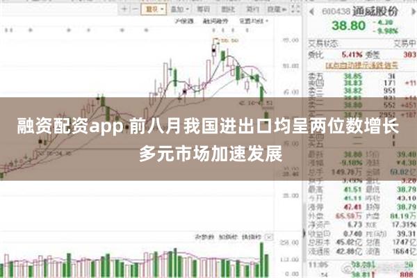 融资配资app 前八月我国进出口均呈两位数增长 多元市场加速发展