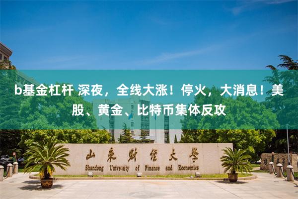 b基金杠杆 深夜，全线大涨！停火，大消息！美股、黄金、比特币集体反攻