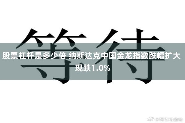 股票杠杆是多少倍 纳斯达克中国金龙指数跌幅扩大 现跌1.0%