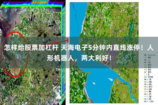怎样给股票加杠杆 天海电子5分钟内直线涨停！人形机器人，两大利好！