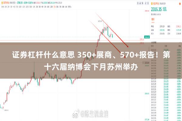 证券杠杆什么意思 350+展商、570+报告！第十六届纳博会下月苏州举办