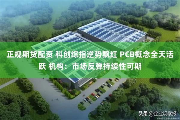 正规期货配资 科创综指逆势飘红 PCB概念全天活跃 机构:市场反弹持续性可期