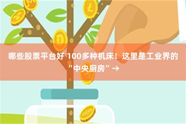 哪些股票平台好 100多种机床！这里是工业界的“中央厨房”→