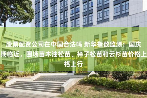 股票配资公司在中国合法吗 新华指数监测：国庆假期临近，围场苗木油松苗、樟子松苗和云杉苗价格上行