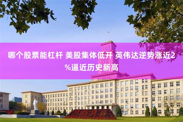 哪个股票能杠杆 美股集体低开 英伟达逆势涨近2%逼近历史新高
